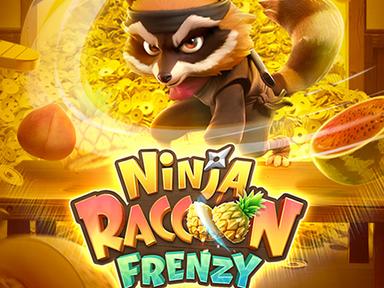 pgsninjaraccoonfrenzy_Horizontal.jpg